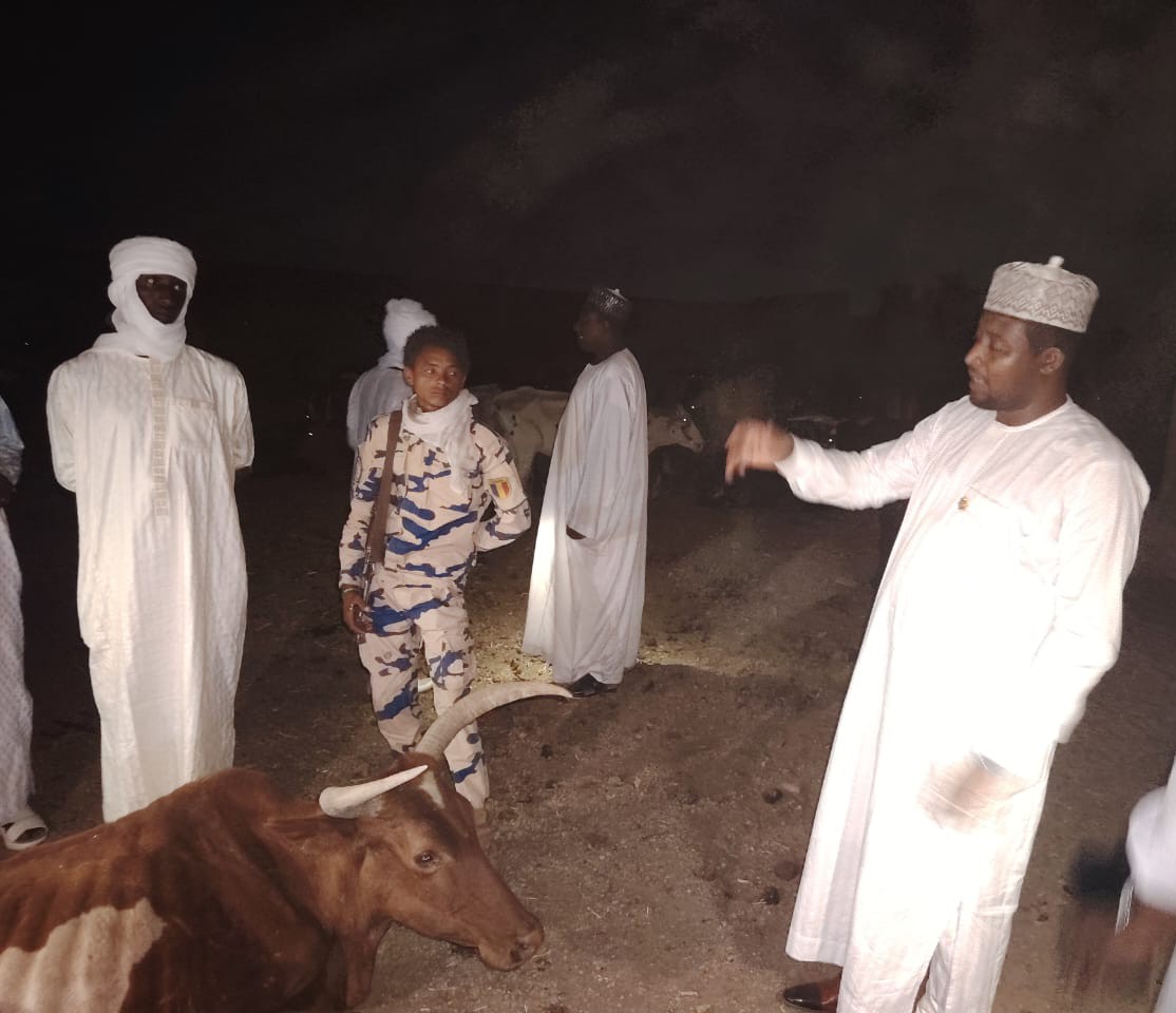 Authorities in N’Djamena quarantine animals after suspected illegal slaughter raid