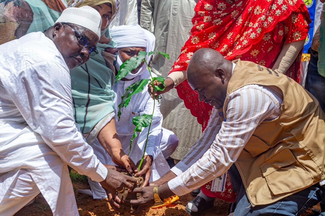 54th National Tree Week launched in Arada