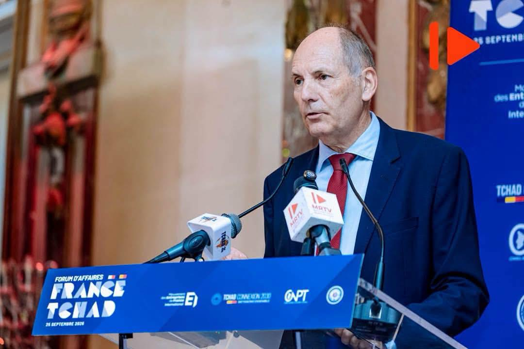 Chad-France Business Forum: Medef calls for more investment