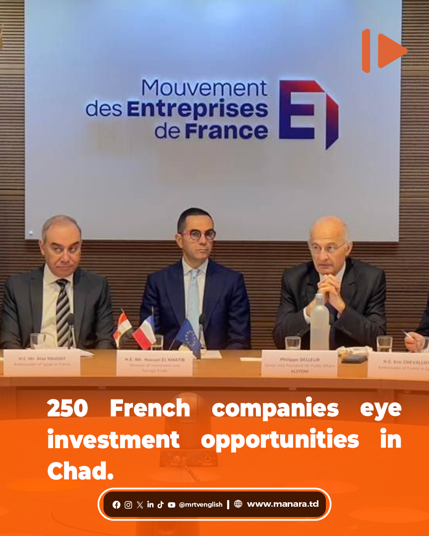 250 French companies eye investment opportunities in Chad